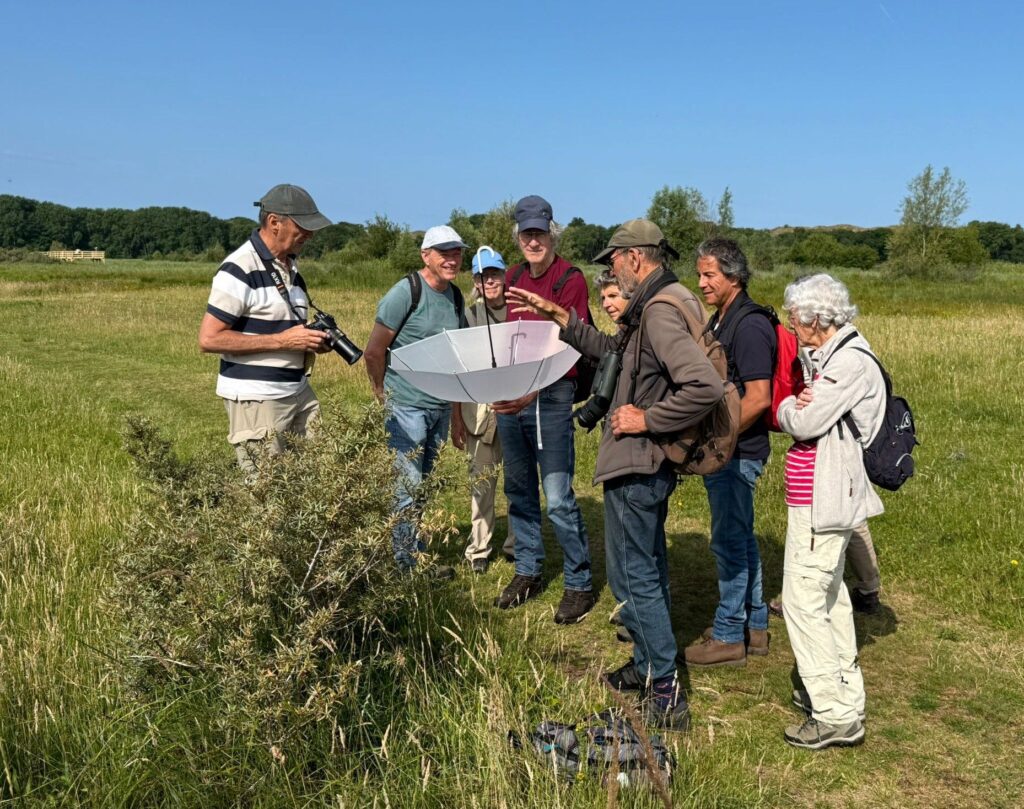 vrijwilligers inventariseren insecten in Lentevreugd