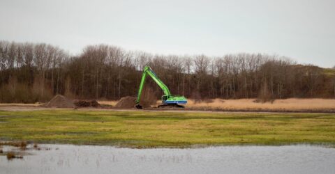 afvlakken natte duinvallei