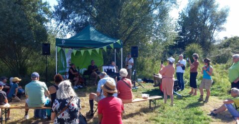 genieten van de zon en de muziek genieten van de zon en de muziek