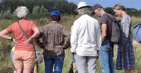 wandeling met natuurgids wandeling met natuurgids