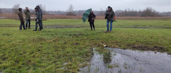Weer water in de middenrel Weer water in de middenrel