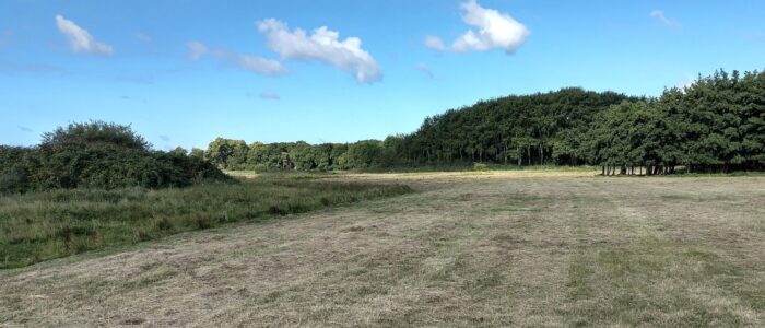 gemaaid veld