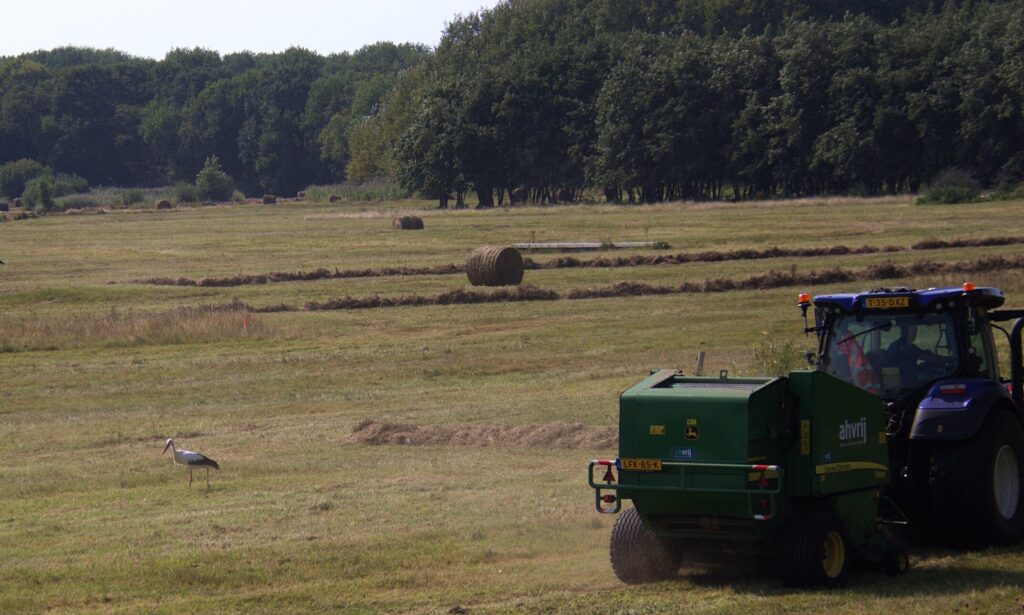 maaier en ooievaar